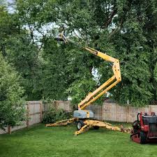 Landscape Design and Installation in Mead, CO